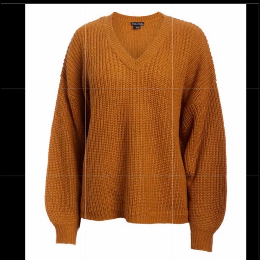 NWT Bishop sleeve v neck sweater
